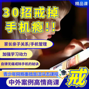 戒瘾网瘾视频教程全套管理技巧亲子关系学习动力在线课程-虚拟资源仓