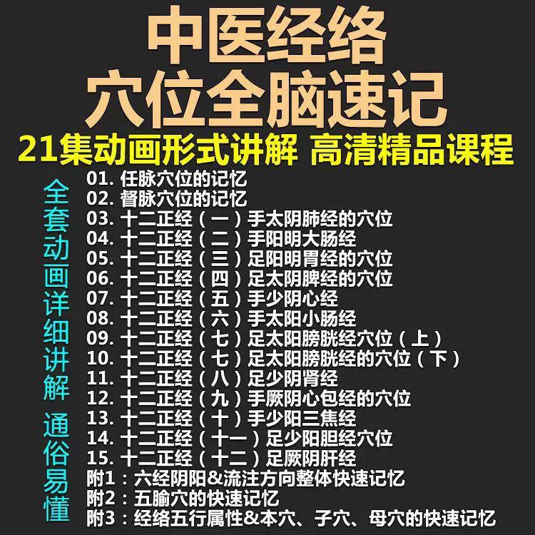 中医经络穴位全脑速记视频教学快速记忆动画形象加深记忆课程教程-虚拟资源仓