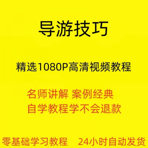 导游技巧视频教程新手自学零基础入门精通教学课程全集-虚拟资源仓