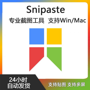 Snipaste for Mac 电脑截图贴图工具 支持Windows 苹果系统-虚拟资源仓