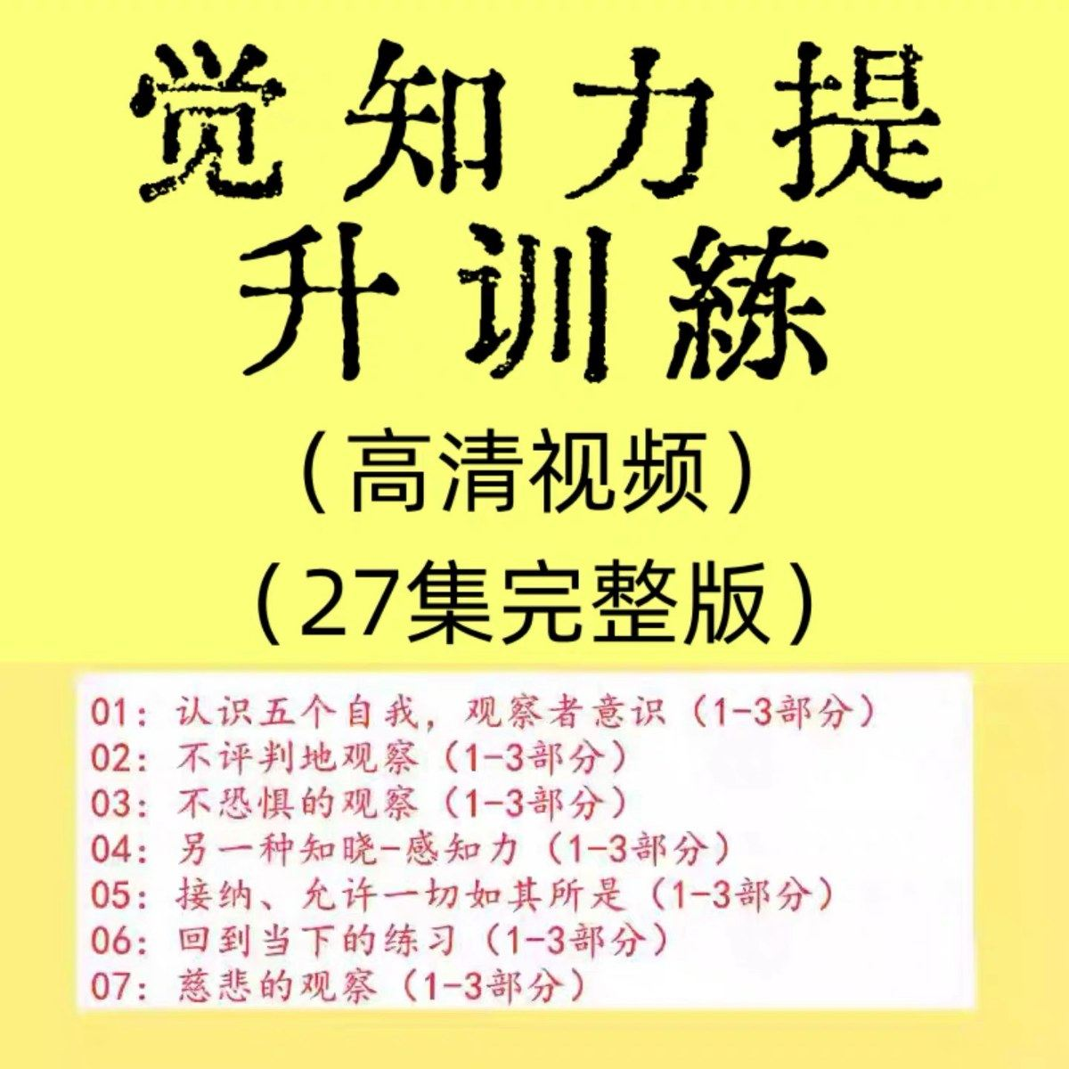 觉知力训练感知力国学智慧2025年心理学自我意识内心疗愈视频教程-虚拟资源仓
