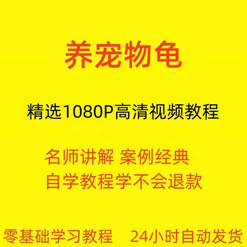 养宠物龟饲养视频教程全套从入门到精通技巧培训学习在线课程-虚拟资源仓