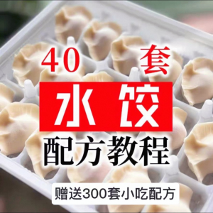 【0.01秒发】40套水饺技术配方 特制技术视频教程-虚拟资源仓