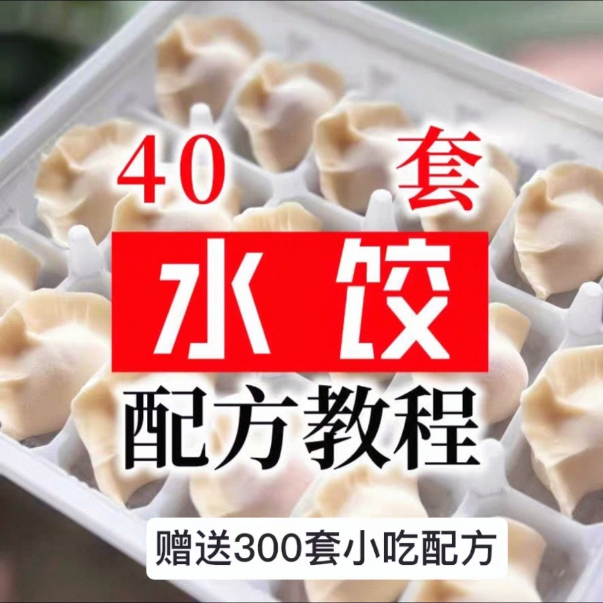 【0.01秒发】40套水饺技术配方 特制技术视频教程-虚拟资源仓