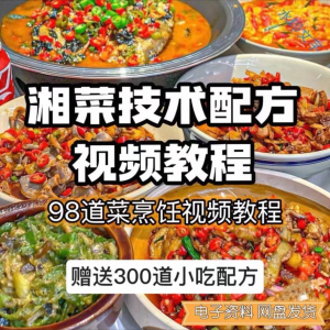 【0.01秒发】98道湘菜技术配方视频教程商用湖南菜炒菜特色小吃-虚拟资源仓