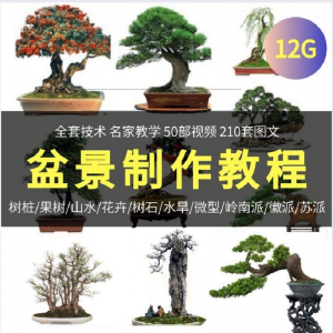 盆景制作技术视频教程工艺教学果树桩山水微型造型全套-虚拟资源仓