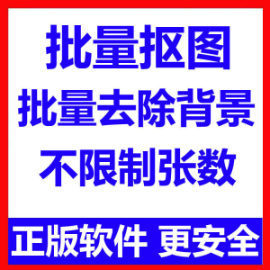 批量抠图工具 全自动去除图片背景软件 本地运行 不限制张数-虚拟资源仓