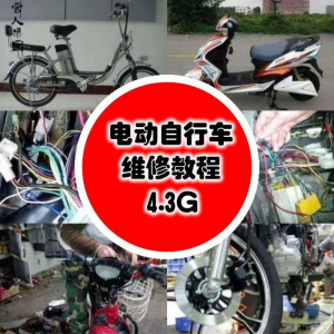 学电动车维修技术电动自行车维修技术电瓶修复技巧视频教程教学-虚拟资源仓
