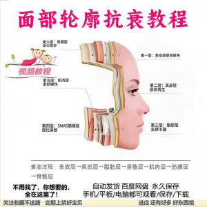 美商课程面部轮廓抗衰美肤减龄变美视频教程形象管理内在美好气色-虚拟资源仓