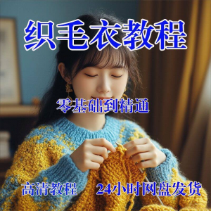 手工织毛衣视频零基础传统棒针钩针毛线编织婴儿童全套-虚拟资源仓