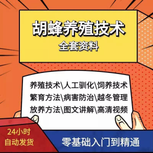 胡蜂养殖技术蜜蜂视频资料黄蜂黑盾怎样养胡蜂人工饲养教程大全-虚拟资源仓
