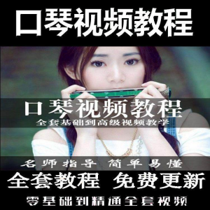 口琴自学教程视频零基础初学者入门到专业十孔24孔教学-虚拟资源仓