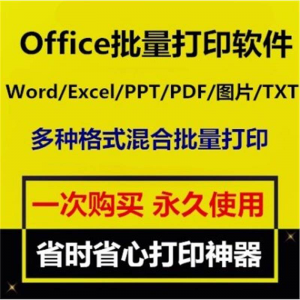 Office批量打印软件工具 Word/Excel/PPT/图片/PDF批量打印软件-虚拟资源仓