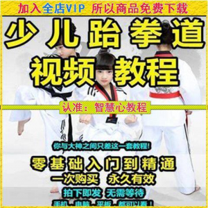 跆拳道自学教学视频跆拳道训练视频跆拳道运动教程少儿培训素材-虚拟资源仓