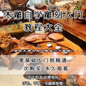 木雕自学雕刻入门教程木匠制作diy手工技术玉石学习视频教学课程-虚拟资源仓