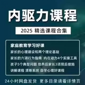 内驱力培训课程培养孩子自觉性提升内在亲子教育学习电子版资料-虚拟资源仓