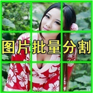 图片批量切割软件 图片批量分割工具 批量切图器 图片批量裁剪-虚拟资源仓