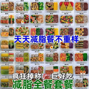 减肥食谱电子版课程 减脂餐一日三餐指导科学健康瘦身配餐计划-虚拟资源仓