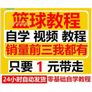 篮球视频教程大全教学训练教学课程基础打篮球技巧街球零基础入门-虚拟资源仓