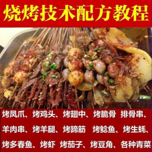 正宗全国烧烤技术配方全套视频教程配料技巧制作培训教学资料大全-虚拟资源仓