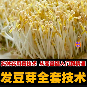 自学发豆芽技术资料豆芽加工制作方法教学 培育豆芽商用视频教程-虚拟资源仓