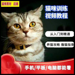 猫咪训练+养猫攻略大全技巧秘诀自学教程课程视频-虚拟资源仓
