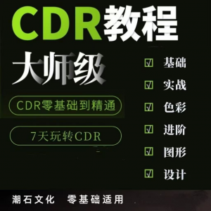 cdr教程视频Coreldraw自学平面设计广告排版零基础入门学习课程-虚拟资源仓