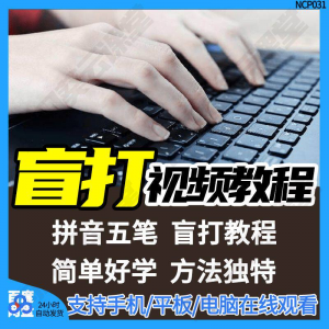 盲打不看键盘打字视频教学网课指法纠正零基础普通键盘私教版资料-虚拟资源仓