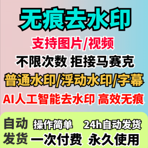 视频去水印软件无痕消除文字AI去除图片字幕水印处理手机电脑神器-虚拟资源仓