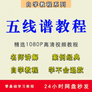 五线谱视频教程教学培训课程在线自学儿童零基础从入门到精通教程-虚拟资源仓
