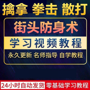 街头防身术擒拿拳击散打视频教程全套入门自学零基础学习教程视频-虚拟资源仓