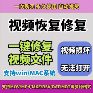损坏MP4视频修复软件断电恢复工具短片导出摄像机视频文件修复-虚拟资源仓