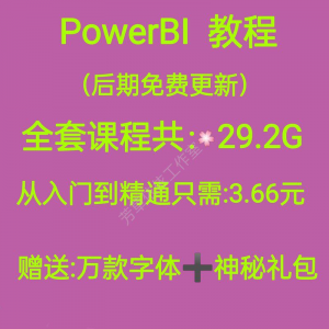 Power bi教程商业数据分析可视化图表建模视频零基础powerbi课程-虚拟资源仓
