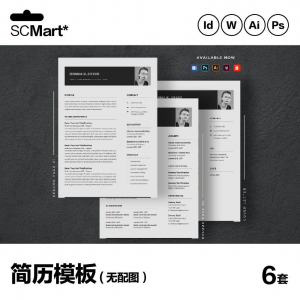 6套高级英文简历Word简历 ai psd设计师简历模板毕业生简历CV29-虚拟资源仓
