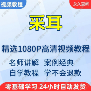 采耳手法视频学习教程新手自学零基础入门精通教学培训课程全集-虚拟资源仓