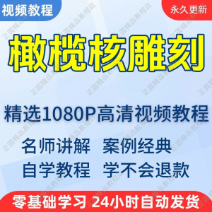 橄榄核雕刻视频学习教程新手自学零基础入门精通教学课程全集-虚拟资源仓