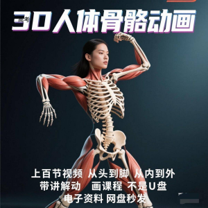 中医人体骨骼肌肉学习3D动态讲解演示视频自学零基础中医人体高考-虚拟资源仓
