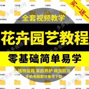 花卉园艺家庭养花盆栽苗圃栽培常识自学视频教程素材资料全套课程-虚拟资源仓