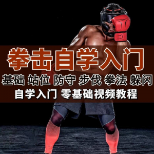 全套拳击指导视频教程自学零基础小白入门自卫搏击格斗防护资料-虚拟资源仓